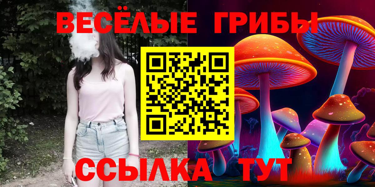 Галлюциногенные грибы прущие грибы  Вход с VPN  Артём 